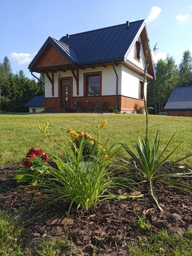 Siedlisko Czarny Dzieciol Leilighet Narewka Eksteriør bilde
